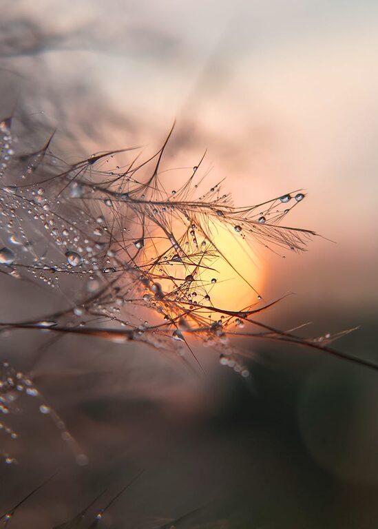 How to Create a Calm Start to the School Day